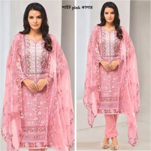 Semi –Embroidery & Sequence Work Party Dress