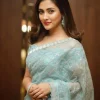 ইমপোর্টেড ওয়েটলেস সফট অরগাঞ্জা ফেব্রিকের মধ্যে গর্জিয়াস এমব্রয়ডারি করা পার্টি শাড়ি