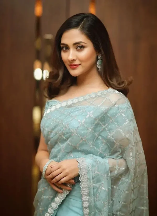 ইমপোর্টেড ওয়েটলেস সফট অরগাঞ্জা ফেব্রিকের মধ্যে গর্জিয়াস এমব্রয়ডারি করা পার্টি শাড়ি